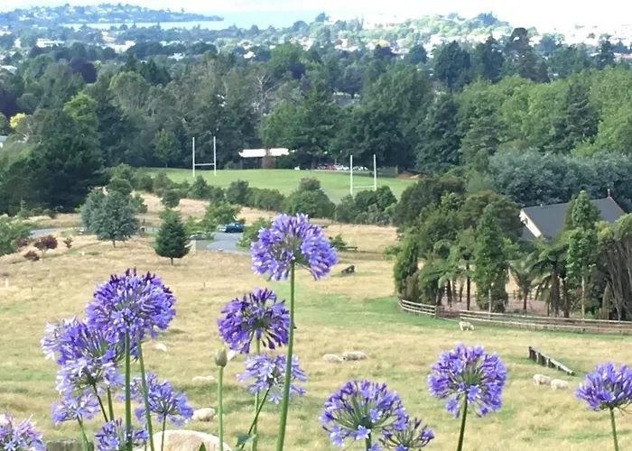 Pohutu Vista Rotorua